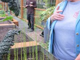 Cook Inlet Green Roof & Community Gardens